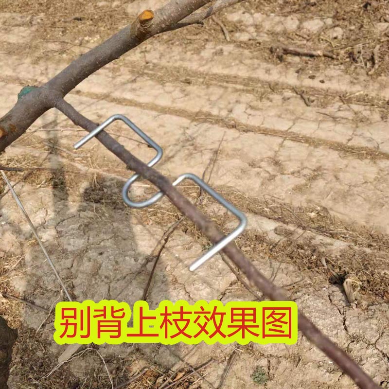 果树拉枝器M定型器弯枝器开角器柑橘苹果树压枝拨枝别枝器开枝器