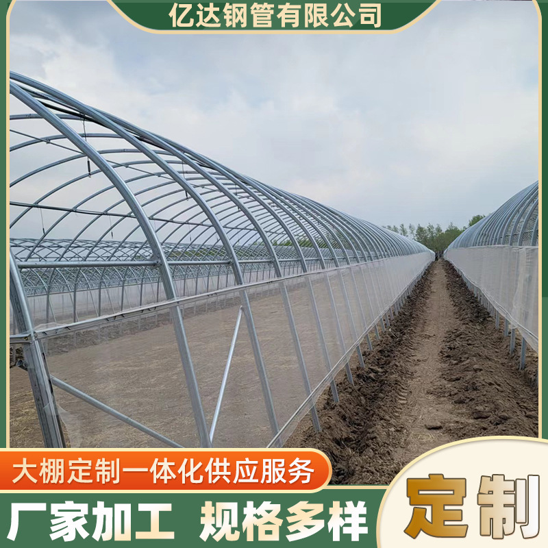 Custom-Built Rain-Proof Greenhouses, Insulated Flower Houses, Windproof and Rainproof Strawberry Greenhouses, Greenhouse Construction Manufacturers