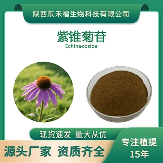 紫锥菊苷4%紫锥菊提取物紫锥菊甙Echinacoside 82854-37-3紫锥菊