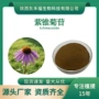 echinacoside紫锥菊提取物