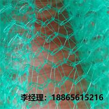 �����K�A�z���z�C�C�M PEPP�A�z�K�Ӱνz�C