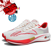 �羳����2025�ﶬ�� ����r�г����p��̼��+�汬���\���� MD+��