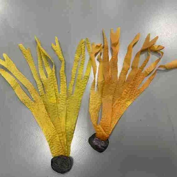 Highly Realistic Multi-Layered Three-Dimensional Large-Leaf Seaweed for Aquarium Landscaping, Direct Supply from Factory Highly Realistic Multi-Layered Three-Dimensional Large-Leaf Seaweed for Aquarium Landscaping, Direct Supply from Factory