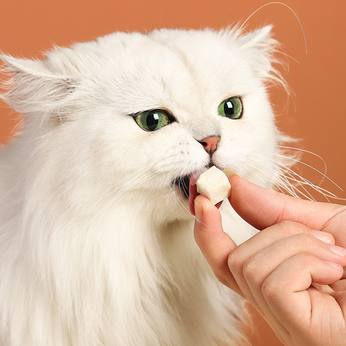 Freeze-dried cat snacks, chicken pellets, pet chicken breast, quail, spring fish, dog egg yolk, cat food, cat snacks