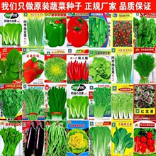 ԭװ�߲����������ļ�����Ĳ��������ܲ��ۻƹ�С�������ݮ����