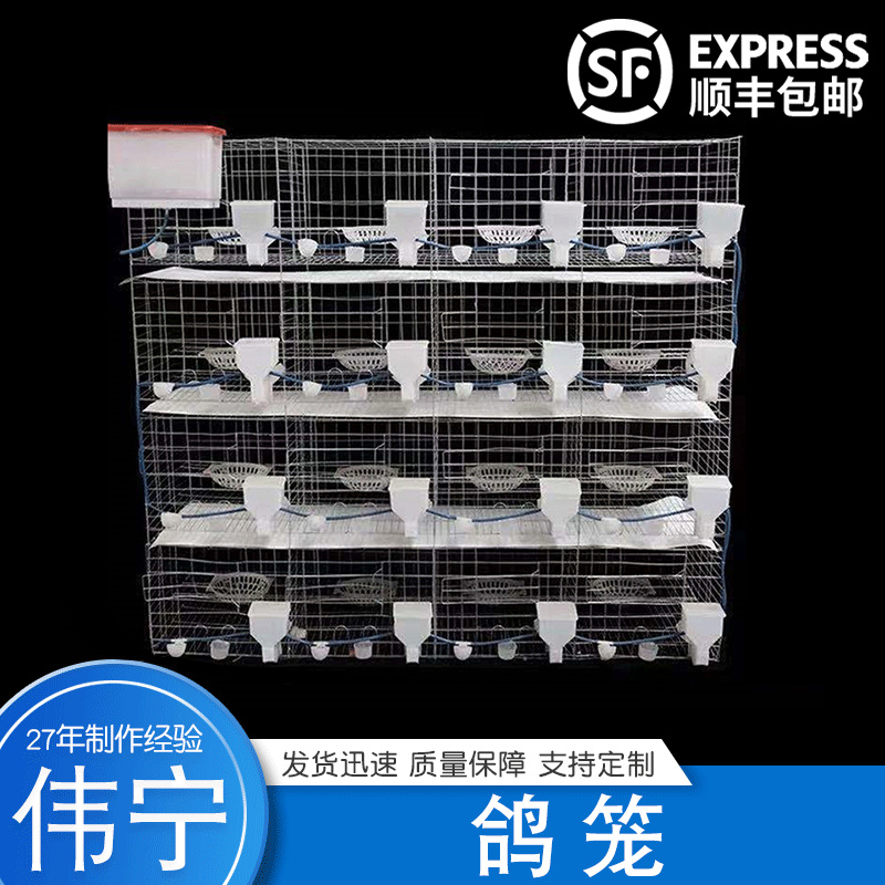 【鸽笼】批发防锈养殖镀锌铁丝鸽子笼 繁殖配对笼具多规格鸽子笼