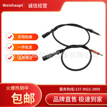 ����WG20  WG30 WG40�߉����x�Ӿ�weishauptȼ�������c����|��