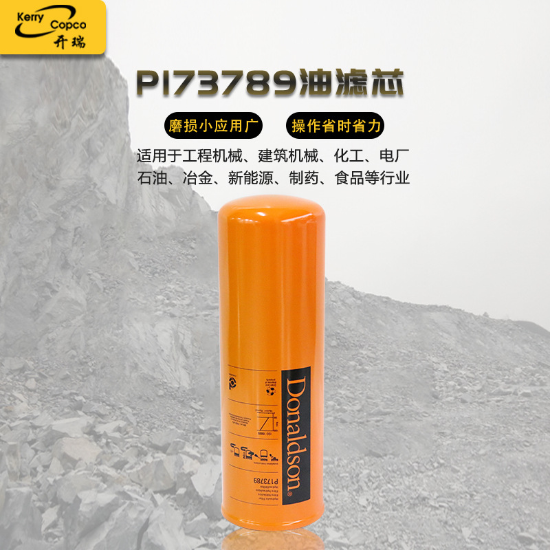 P173789油滤芯工程机戒挖掘机滤芯空气滤芯筒油除杂质滤芯