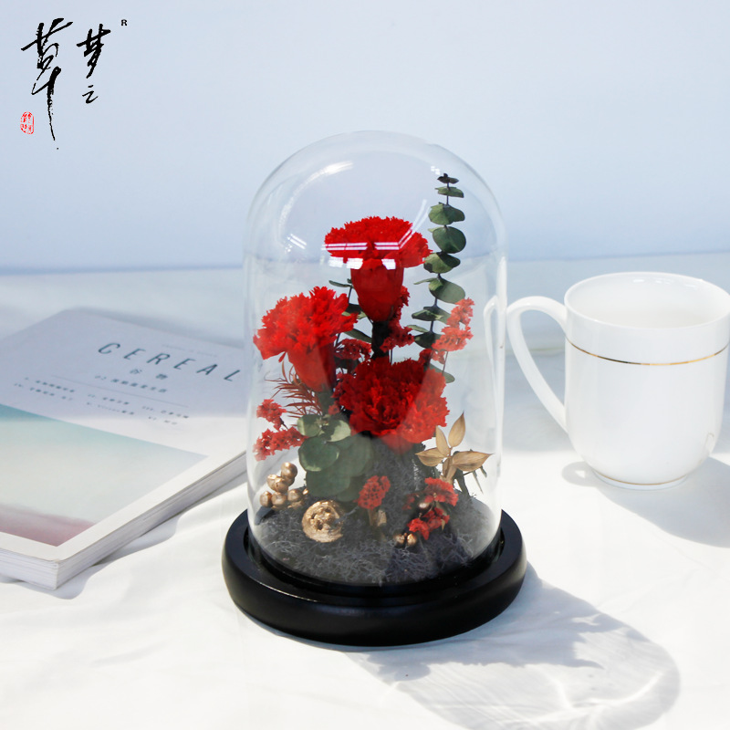 永生花康乃馨干花手工玻璃罩成品礼盒批发一件代发创意母亲节礼物