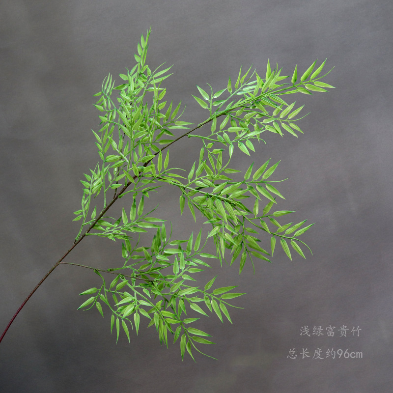 Bambú rico verde claro