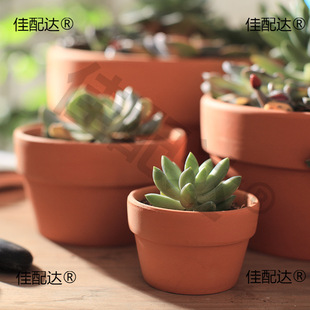 �t�ն���ֲ���մɻ���������������Gֲ�������ԽM�����b���]