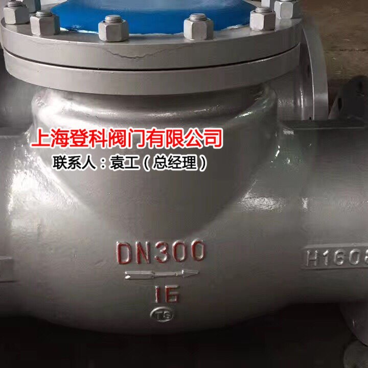 H44H-16C DN250 旋启式止回阀，铸钢法兰止回阀 逆止阀