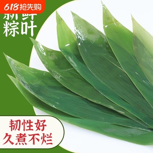 Fresh Large Zongzi Leaves Commercial Wholesale Wild Zongzi Leaves Pure Natural Zongzi Leaves Vacuum Packaging