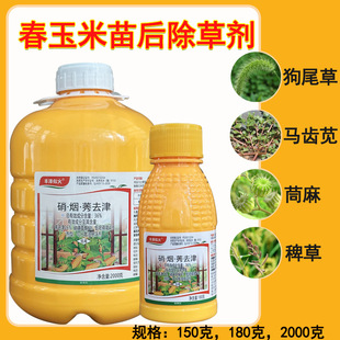 36%����ݬȥ�����p�� ���׻�¡���ǲ�ͪݬȥ������������