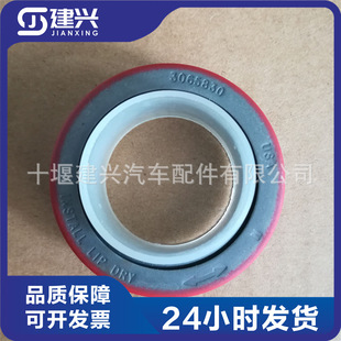 �ؑc����˹K19/QSK19���Ͱl�әC3065830�ͷ⹤�̙Cе/����/�l�