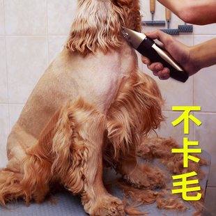 Amazon cross-border pet dog shaver golden hair teddy animal hair pusher pet electric hair pusher