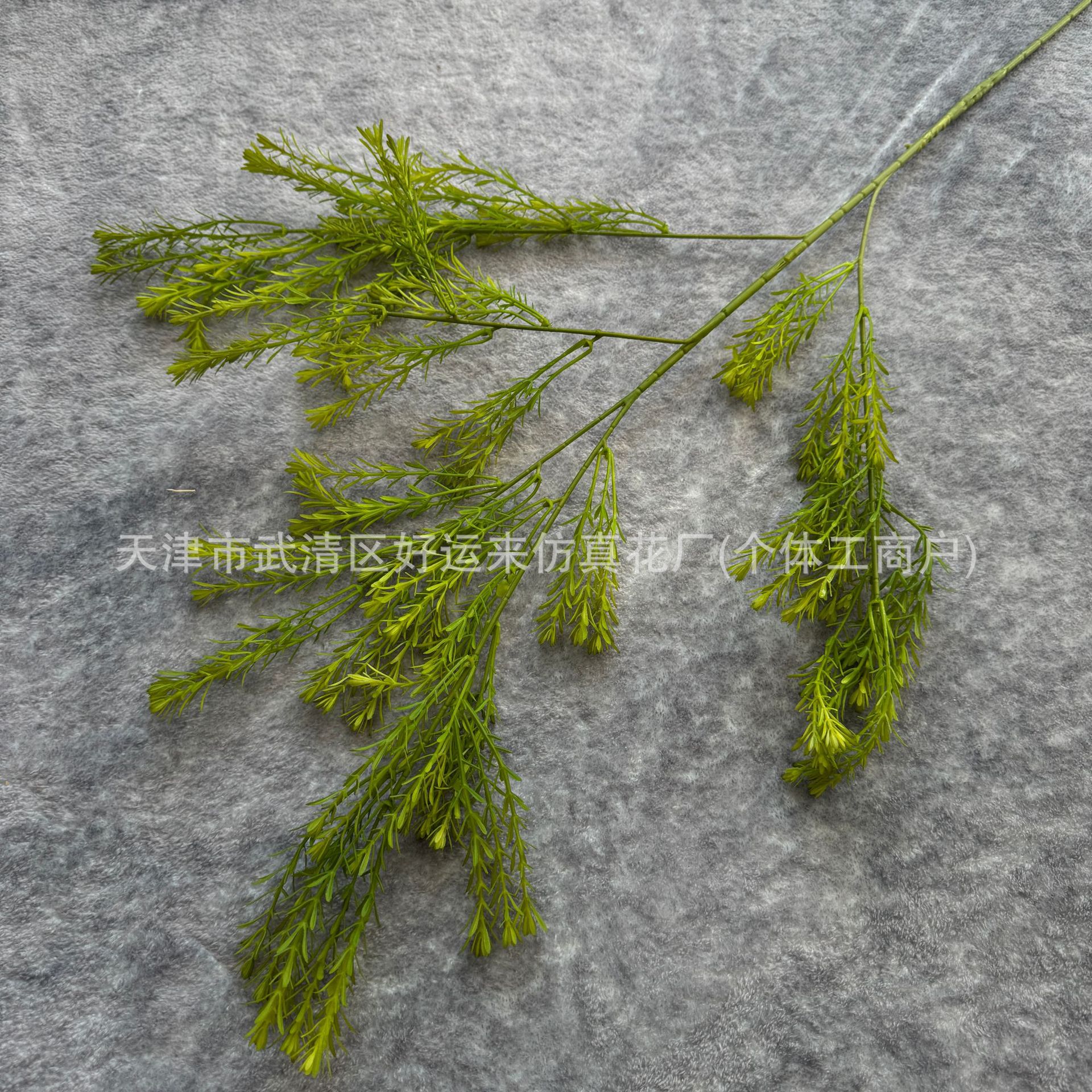 멜라루카 골든 프루츠 그린