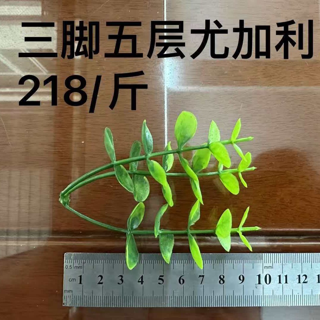 热卖水草 尤加利薰衣草花头  配件  批发