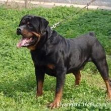 ���N��ϵ�_���{Ȯ��Ȯ���w���\�����Ը��_���{Ȯ����Ȯ��ͥ�o�lȮ