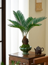 ̦޺������ˮ��ֲ���ļ��������������ֲ���ԼҾ����ڲ�ŷ��辰