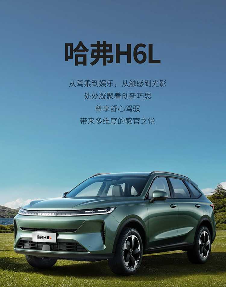 Specifically designed for the 2026 Haval H6L, these all-season, full-coverage car seat covers are made of breathable leather