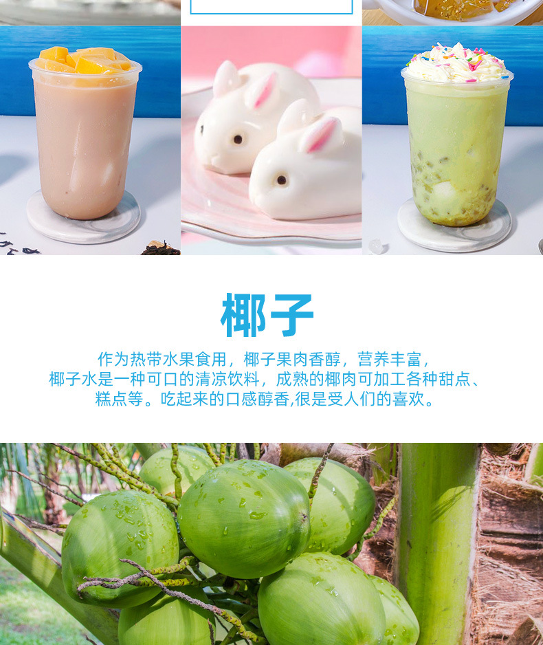 No-Cook Coconut Jelly Powder Ye Guo Fruit Dessert Pudding Mix for Bubble Tea and Fruit Bowls Bulk Commercial Supply key features