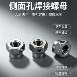 温州厂家 六角台阶螺母 带横孔螺母 焊接螺母 新品钜惠螺丝