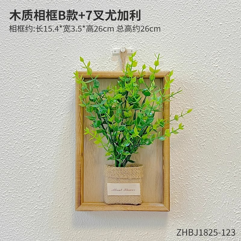 2 eucalyptus + wall hanging [with traceless nails]