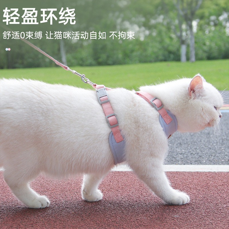 (2개) 고양이 가죽 끈 조끼 가슴 끈 조정 가능한 안티 브레이크없는 안티 손실 칼라 개 걷는 가죽 끈 애완 동물 가죽 끈