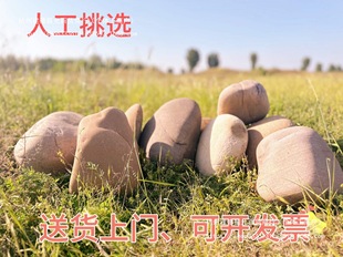 ��̖�Z��ʯʯ�^ԭʯͥԺ�~�؇�߅ˮ��ƺ���@�쾰�b�����