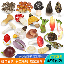 羳Ģģ㹽׶Z漧pUK[