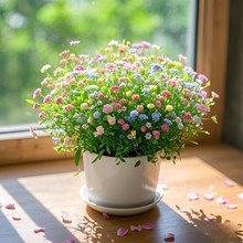 �ױ��軨�N�ӝM�����ļ����N���B�׻������҃����_���ܷN���Ӵ�ȫ