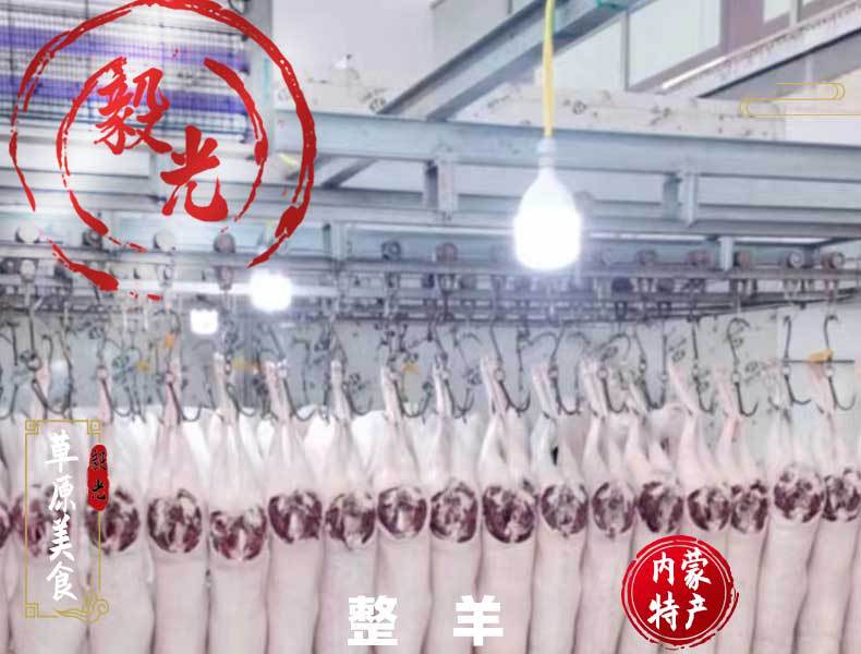 白条羊羔-恢复的_01