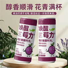 不老莓水果酒花楸红酒低度微醺甜型葡萄酒花青素发酵酒女士晚安酒