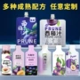 代工定制果泥西梅益生元