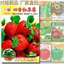 四季草莓种子|约220粒|红草莓籽 阳台种子 蔬菜种子批发 水果种子
