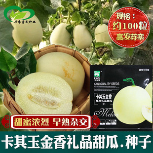 ������Ƥ�YƷ��ϷN�� �r����@�Nֲ�����s��ˮ����Ƥ�����