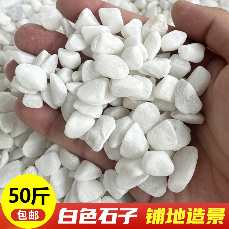 White Pebbles for Landscaping, White Rice Stones for Courtyard Paving, White Stones for Potting, White Pebbles for Fish Tank and Balcony Decoration White Pebbles for Landscaping, White Rice Stones for Courtyard Paving, White Stones for Potting, White Pebbles for Fish Tank and Balcony Decoration