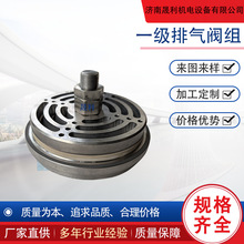 样品加工一级排气阀 无油空气压缩机40D46 阿特拉斯压缩机配件