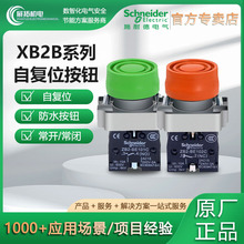 ʩ�͵�XB2B�Gɫ�tɫ�����_�P���o1���]��ˮ�ԏ�λ���ٰ��o�_�P