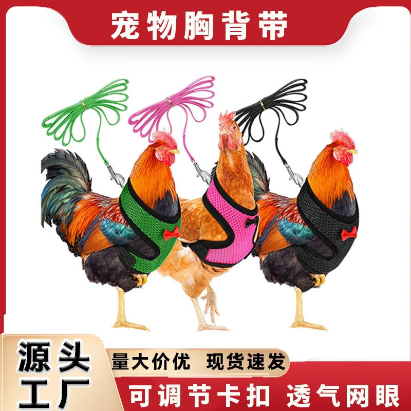 Источник фабрики поводок для домашних животных