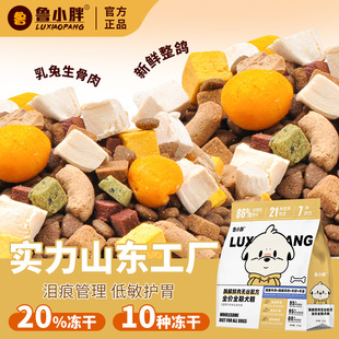 10�N���������r�⹷�Z��Ȯ��Ȯͨ�ý�ë�������ఢ��˹�ӹ�