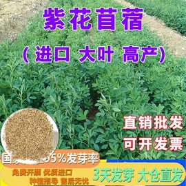 栽培基质;种子;其他园林资材