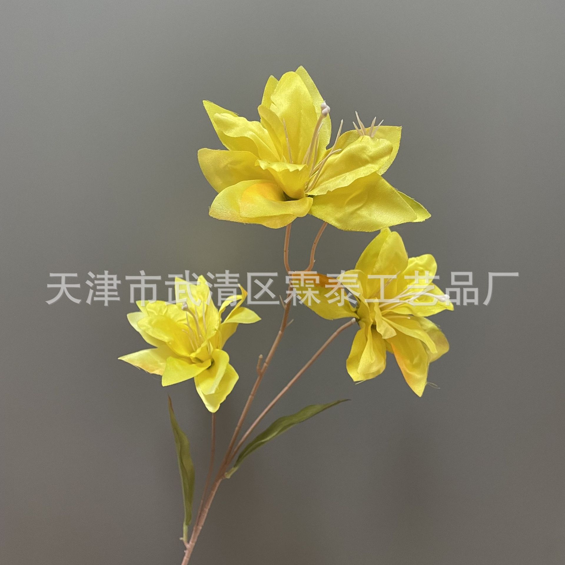 밝은 노란색