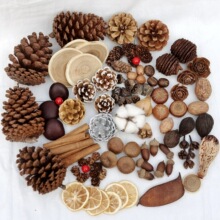 ���l�ɻ��ɹ������ɹ� �b� �ֹ�DIY ��Ȼԭ���� ɭϵ��޹ �}�Q؈