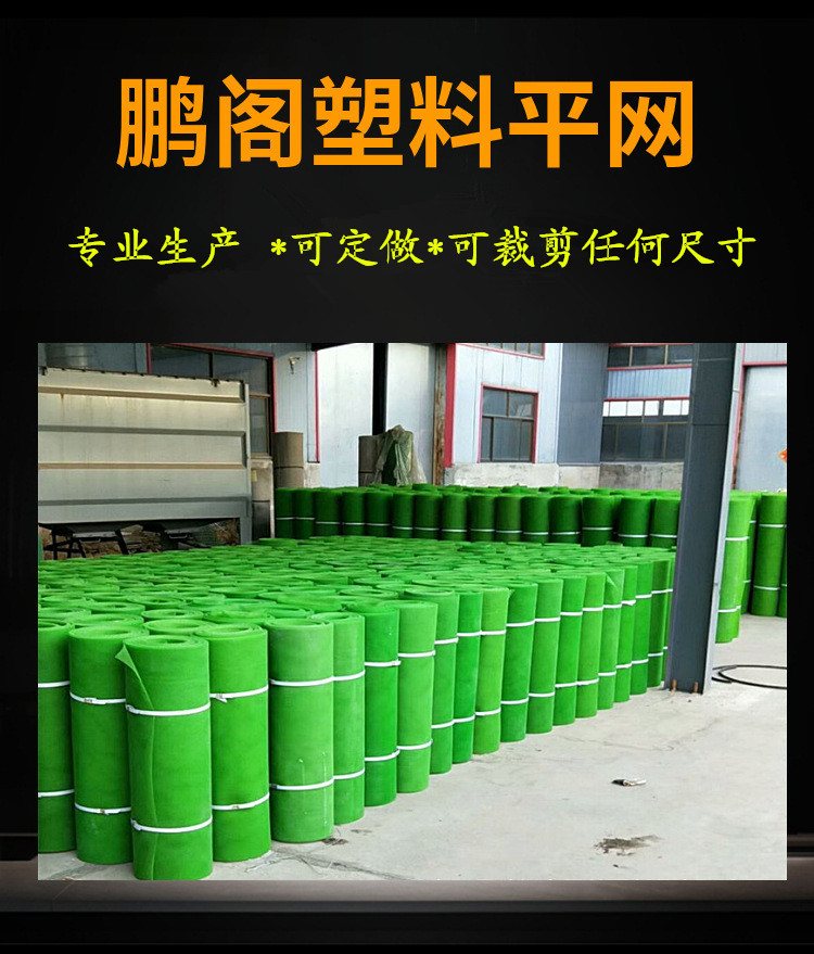 10730847005_113324294