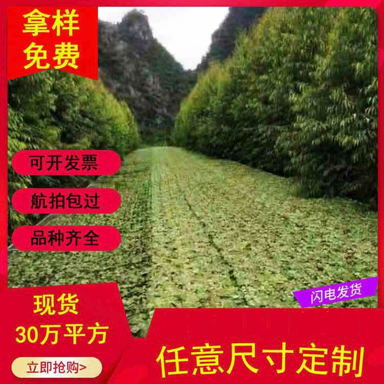 В наличии Камуфляжная сетка для джунглей, противовоздушная камуфляжная сетка, наружная затеняющая сетка, затенение гор, сетка для защиты от подделок