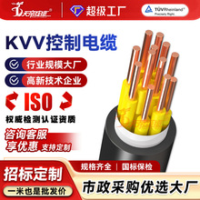 加工定制KVV控制电缆2芯0.75 1.0 1.5 2.5 4 6平方绝缘护套电源线