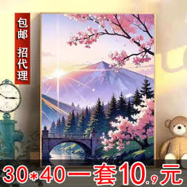 diy数字油画玫瑰手工填色油彩画治愈手工简约花卉客厅装饰画挂画