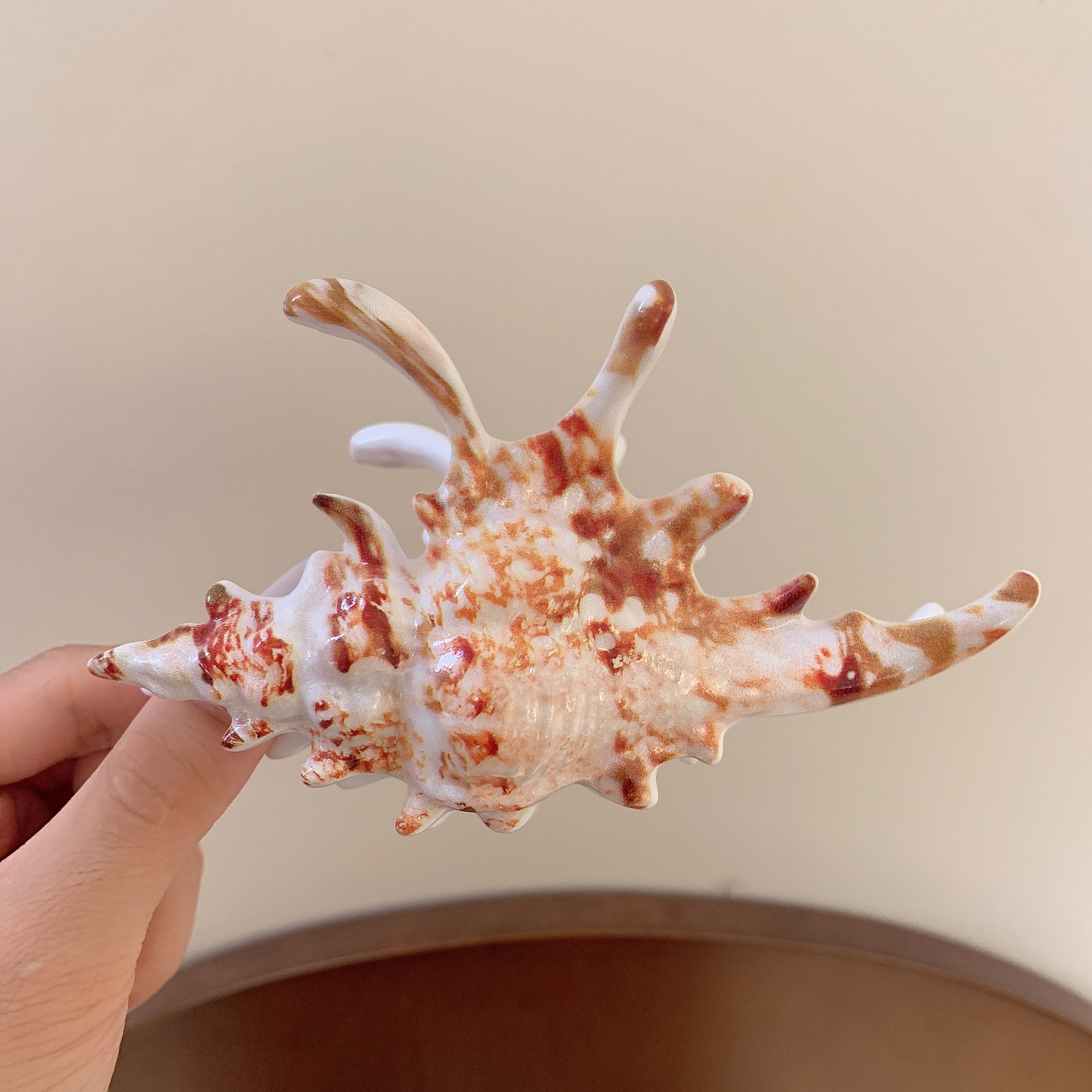 황갈색 소라 그리퍼 [13cm]